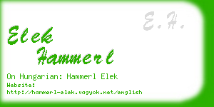 elek hammerl business card